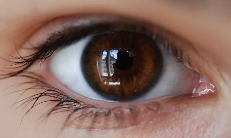 Imagem ilustrativa da imagem Prevenção de doenças oculares em todas as fases da vida