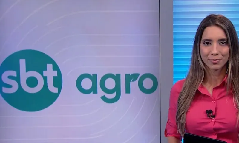 Imagem ilustrativa da imagem SBT prepara estreia de programa sobre agronegócio para disputar público aos domingo