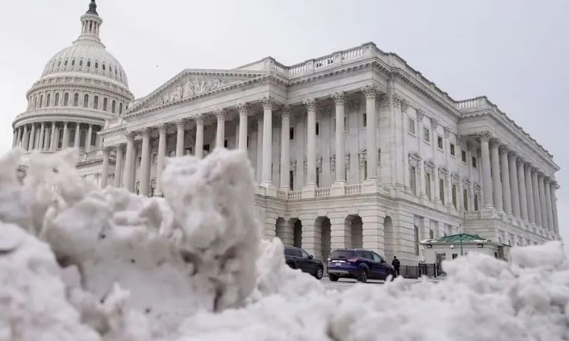 Imagem ilustrativa da imagem Tempestades de gelo e frio extremo deixam ao menos 55 mortos nos Estados Unidos