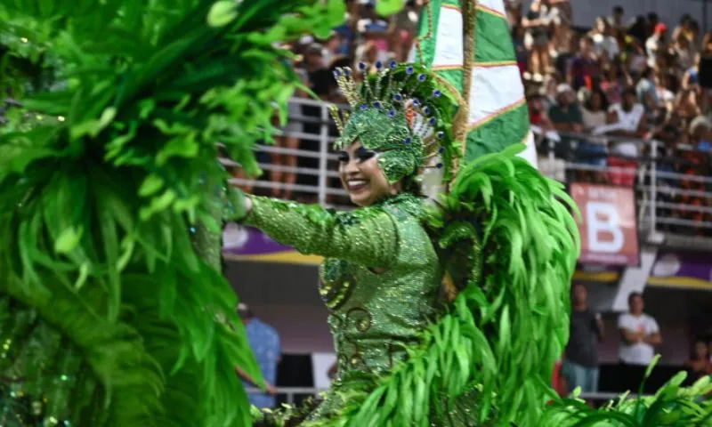 Imagem ilustrativa da imagem Unidos da Piedade celebra a própria história na passarela do samba