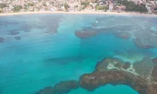 Imagem ilustrativa da imagem Praias de Pernambuco estão livres da Maré Vermelha