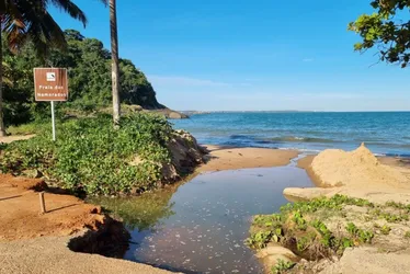 Imagem ilustrativa da imagem Anchieta: mata entre as praias de Iriri agora é área protegida
