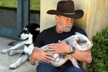 Imagem ilustrativa da imagem Arnold Schwarzenegger revela que dá comida de seus animais para as netas