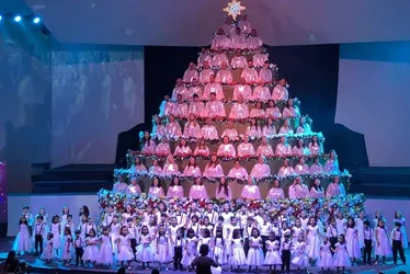 
          Imagem ilustrativa da imagem Árvore que Canta terá três apresentações este ano
          