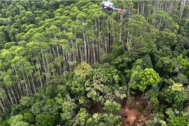 Imagem ilustrativa da imagem Autoridades de SP confirmam a morte dos quatro ocupantes de helicóptero