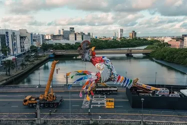 Imagem ilustrativa da imagem Balsa do frevo: descubra a magia do Carnaval no rio mais amado dos pernambucanos