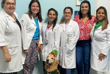 Imagem ilustrativa da imagem "Cãoterapeuta" visita crianças internadas no Hospital Infantil de Vitória