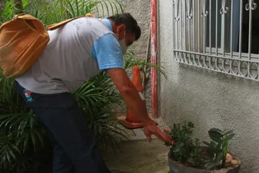 Imagem ilustrativa da imagem Casos de dengue no ES chegam a 8.534 somente em janeiro