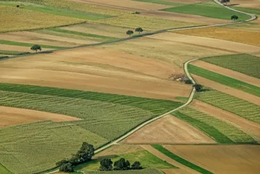 Imagem ilustrativa da imagem Chuvas afetam produção de produtos agrícolas no ES