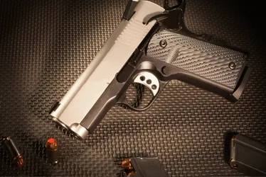 Imagem ilustrativa da imagem Comissão da Câmara autoriza estados a legislarem sobre armas