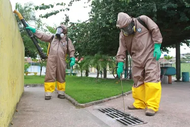 Imagem ilustrativa da imagem Confirmada a primeira morte por dengue em 2024 no ES