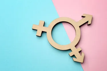 Imagem ilustrativa da imagem Dia Nacional da Visibilidade Trans terá serviços gratuitos em Garanhuns