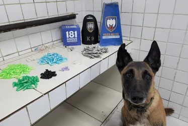 Imagem ilustrativa da imagem Drogas e armas são apreendidas em operações na Serra, Cariacica e Vila Velha