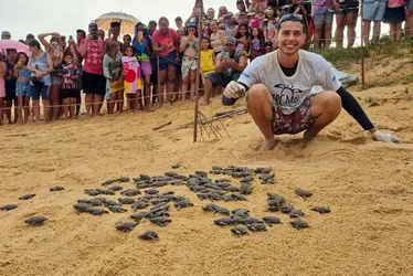 Imagem ilustrativa da imagem Espetáculo das tartarugas emociona turistas em Anchieta
