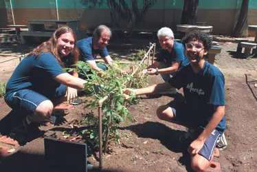 Imagem ilustrativa da imagem Estudantes desenvolvem projeto de irrigação para plantação de tomates
