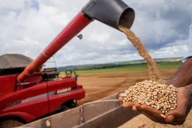Imagem ilustrativa da imagem Exportação agropecuária do Brasil atinge valor recorde