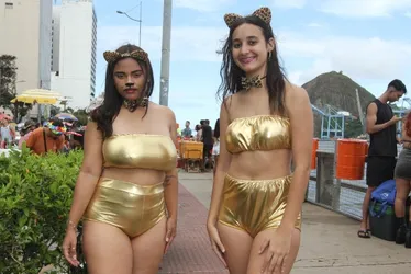 Imagem ilustrativa da imagem Fantasias para lá de divertidas no Carnaval do Centro