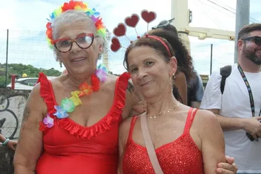 Imagem ilustrativa da imagem Fantasias para lá de divertidas no Carnaval do Centro