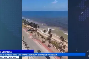Imagem ilustrativa da imagem Fenômeno natural: 'Maré Vermelha' traz preocupação para banhistas em Boa Viagem