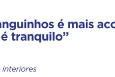 Imagem ilustrativa da imagem Festa de famílias em Manguinhos