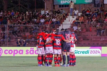 Imagem ilustrativa da imagem Flamengo lidera investimentos nas categorias de base no Brasil
