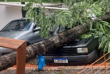 Imagem ilustrativa da imagem Forte chuva volta a causar transtornos no Sul do ES