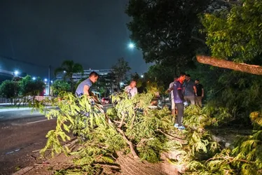 Imagem ilustrativa da imagem Greve dos garis: mutirão recolhe 74 toneladas de lixo nas ruas de Vitória