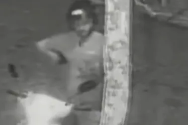 Imagem ilustrativa da imagem Guarda civil é afastado por suspeita de matar seu cachorro no litoral de SP