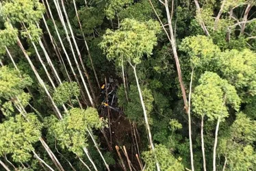 Imagem ilustrativa da imagem Helicóptero que desapareceu em viagem para litoral norte de SP é encontrado