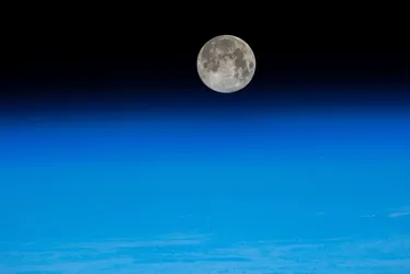 Imagem ilustrativa da imagem Humanos e robôs têm viagem marcada para a Lua em 2024