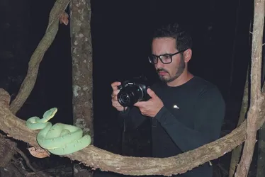 Imagem ilustrativa da imagem Jararaca ameaçada de extinção é vista no Espírito Santo