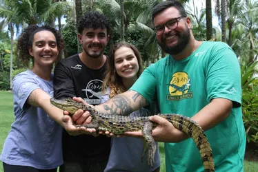 Imagem ilustrativa da imagem Jayminho, o jacaré resgatado no pátio de um hospital da Serra