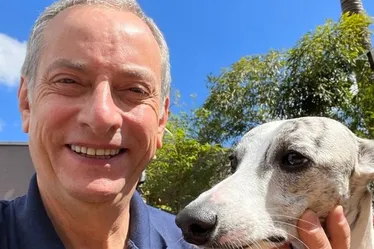 Imagem ilustrativa da imagem José Roberto Burnier anuncia volta à TV após infarto: "Recuperando a vida normal"