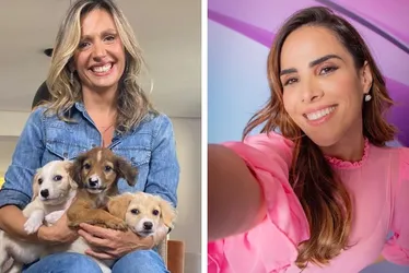 Imagem ilustrativa da imagem Luísa Mell defende Wanessa Camargo no BBB 24: "Pode matar pernilongo"