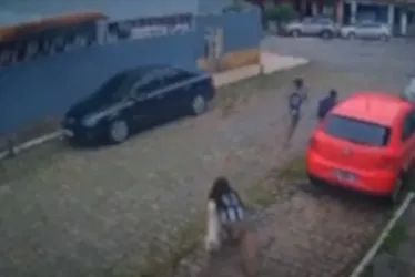 Imagem ilustrativa da imagem Menina de 9 anos é atacada por cachorro em rua de Vila Velha