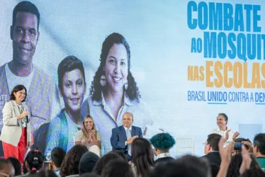 Imagem ilustrativa da imagem Ministério da Saúde quer mobilização contra a dengue em escolas a partir de março