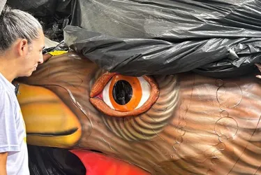 Imagem ilustrativa da imagem Mistério: Galo Gigante da Paz 2024 exibe olhar singular em preparação para Carnaval