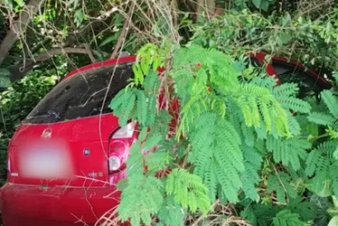 Imagem ilustrativa da imagem Motorista morre após levar tiros e carro despencar em ribanceira