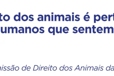 Imagem ilustrativa da imagem Mudança na lei pode alterar regras em casamentos, aluguéis e direitos dos animais