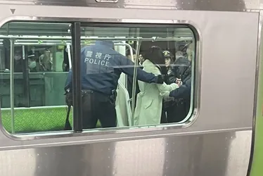 Imagem ilustrativa da imagem Mulher é presa após esfaquear quatro passageiros em trem no Japão