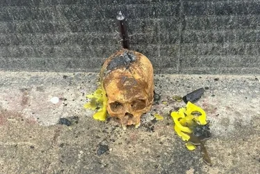 Imagem ilustrativa da imagem Mulher é presa suspeita de deixar crânio em porta de loja após demissão