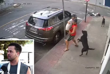 Imagem ilustrativa da imagem Multa para donos que deixam cães soltos pode passar de R$ 1 mil