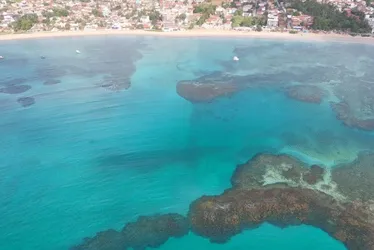 Imagem ilustrativa da imagem Praias de Pernambuco estão livres da Maré Vermelha