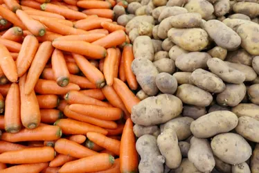 Imagem ilustrativa da imagem Preço da cenoura sobe quase 44% em janeiro, e batata aumenta 29%