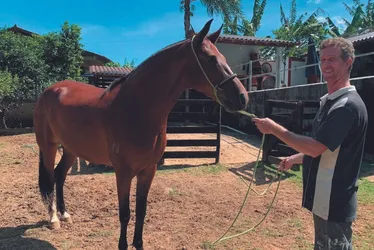 Imagem ilustrativa da imagem Rotina dos cavalos milionários no ES