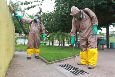 Imagem ilustrativa da imagem Saiba como evitar a formação de criadouro do Aedes aegypti em casa durante viagens