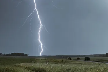 Imagem ilustrativa da imagem Saiba como se proteger de raios durante tempestades