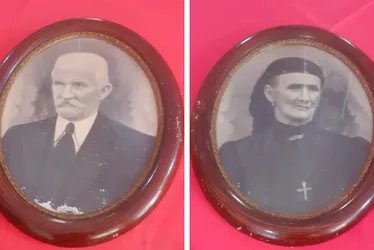 Imagem ilustrativa da imagem “Santa Teresa é o berço do legado italiano no Brasil”, diz curador da Casa Lambert