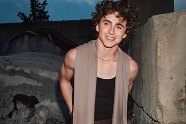 Imagem ilustrativa da imagem Timothée Chalamet prova chocolate brasileiro e elogia Sonho de Valsa