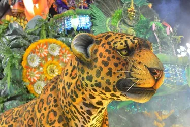 Imagem ilustrativa da imagem Tom Maior e Independente são rebaixadas no Carnaval de SP